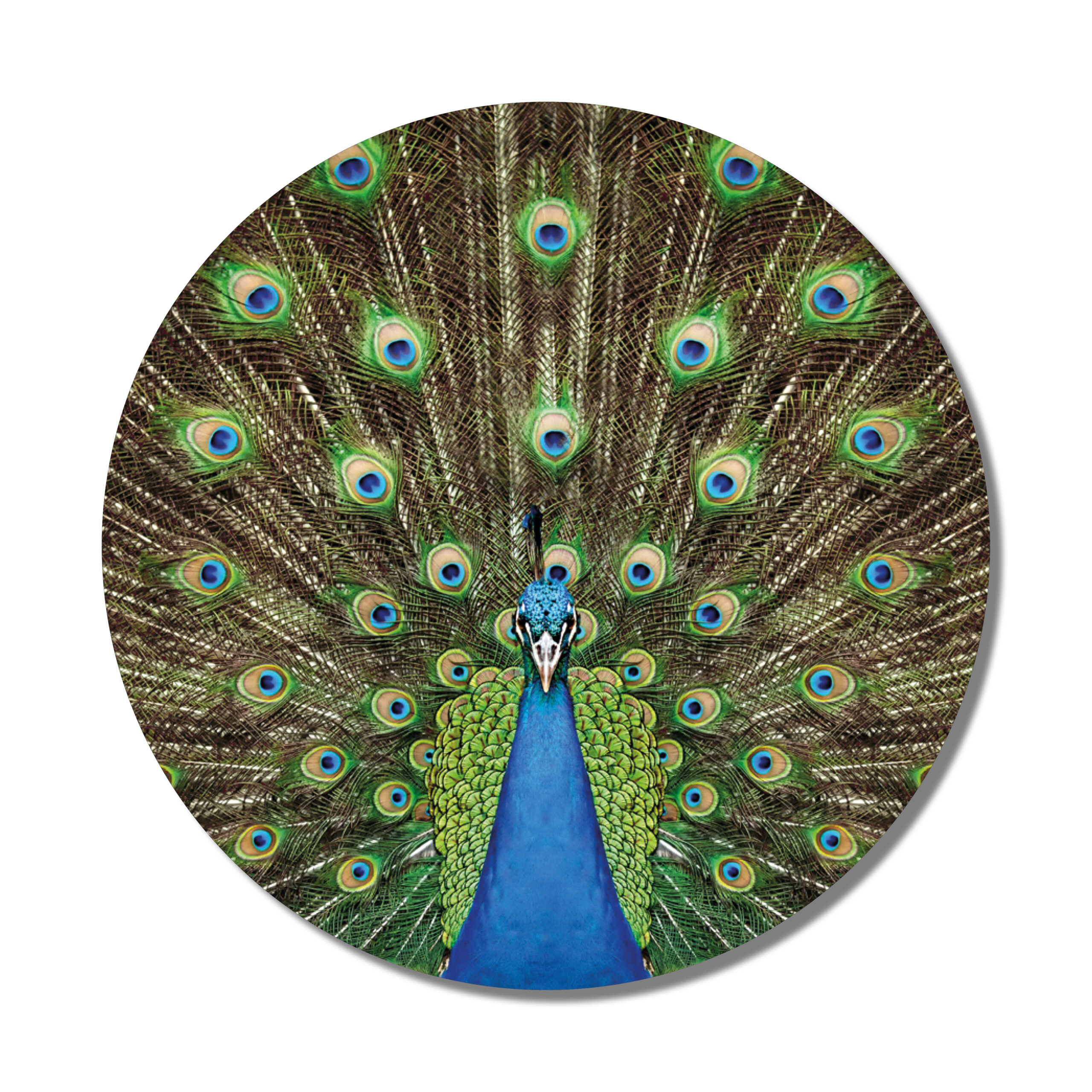 Muurcirkel pauw-2 30 cm