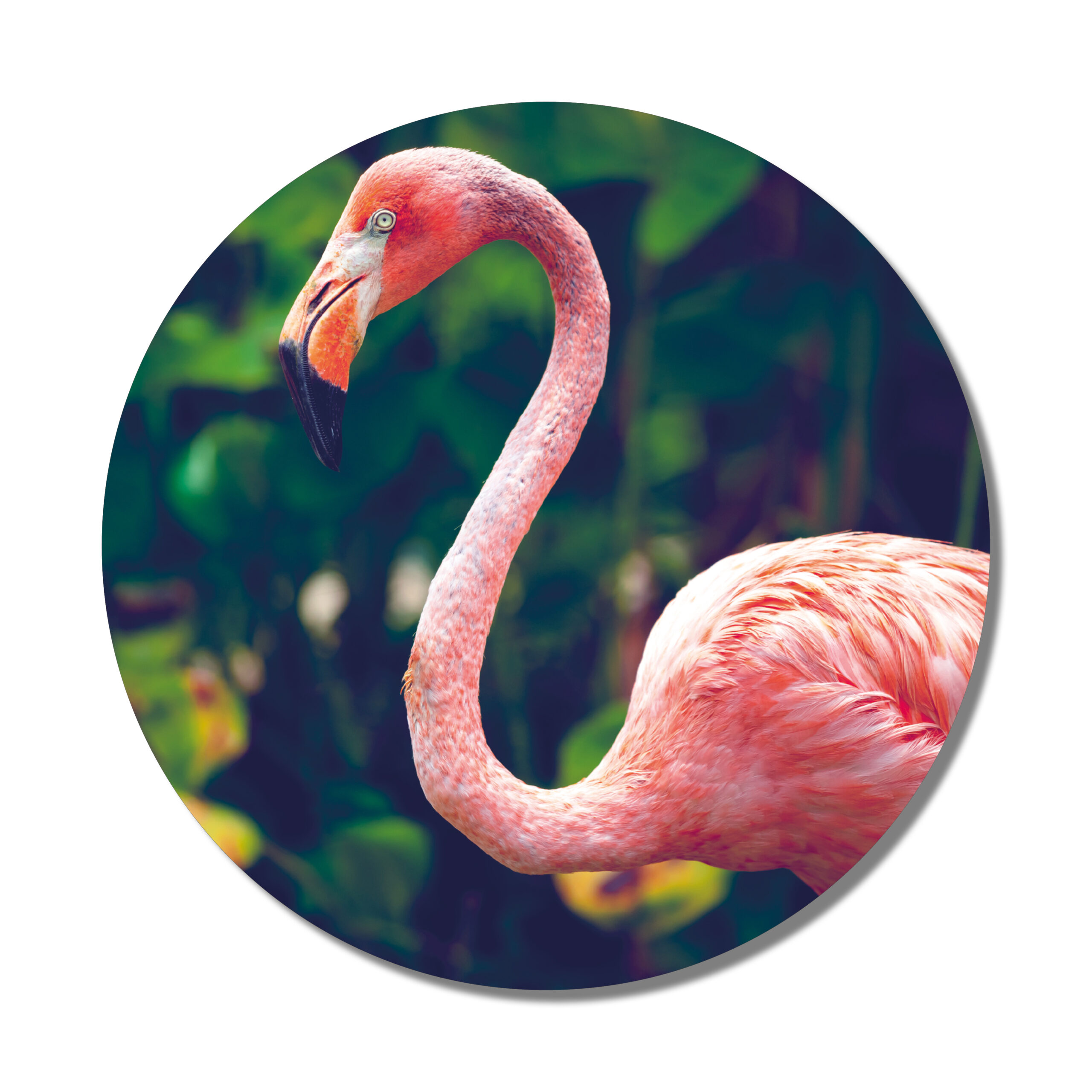 Muurcirkel flamingo 30 cm
