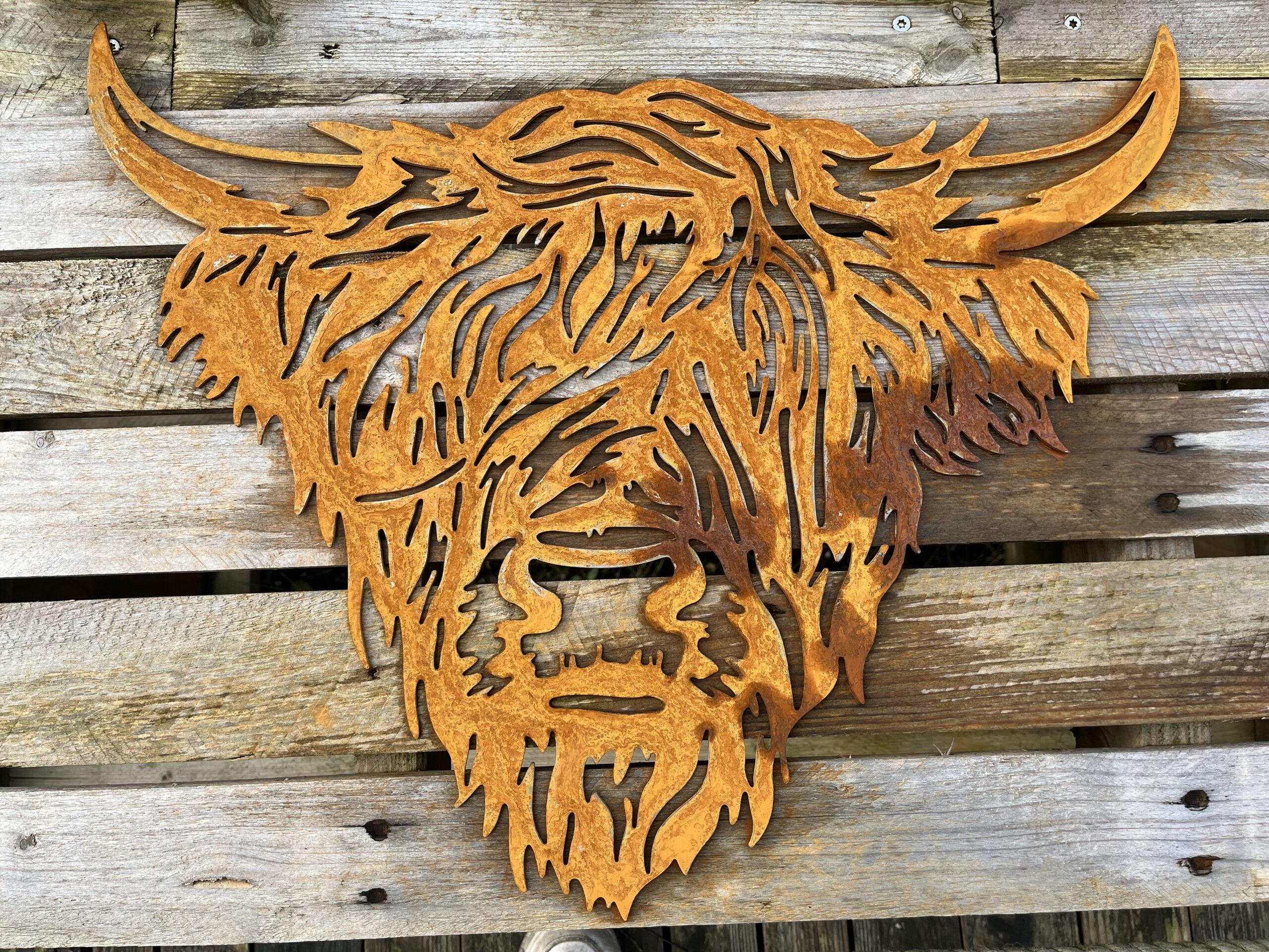 Cortenstaal Schotse hooglander